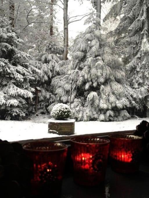 Magical Cottage In The Woods Baarn Exteriér fotografie