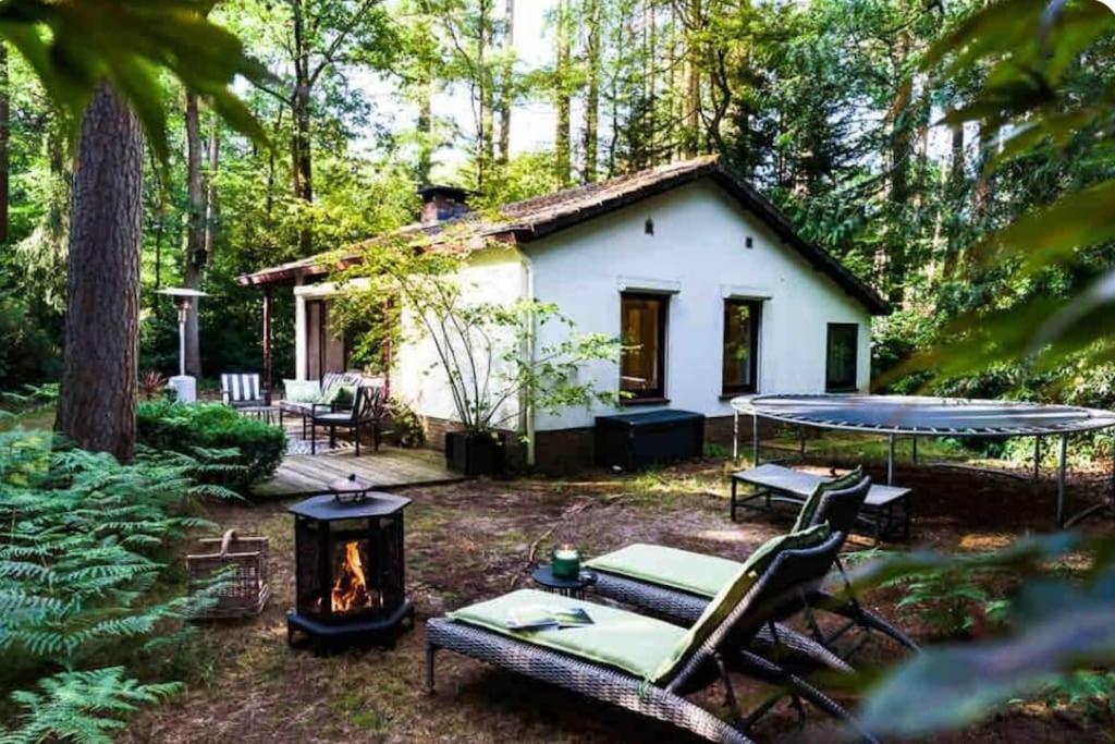 Magical Cottage In The Woods Baarn Exteriér fotografie
